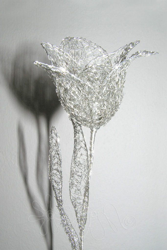 Strieborný tulipán